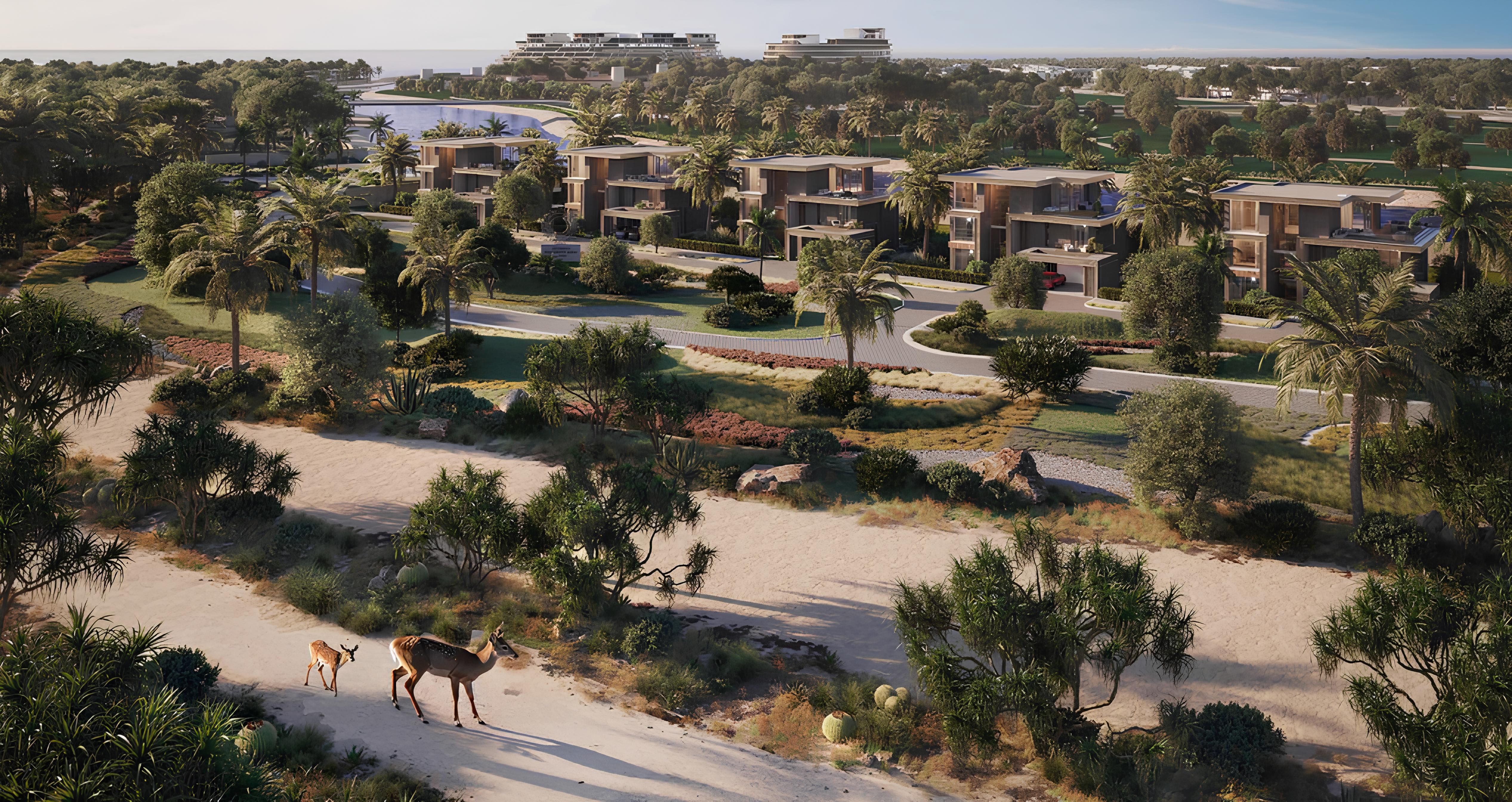 Jacob and Co Beachfront Living — image 4