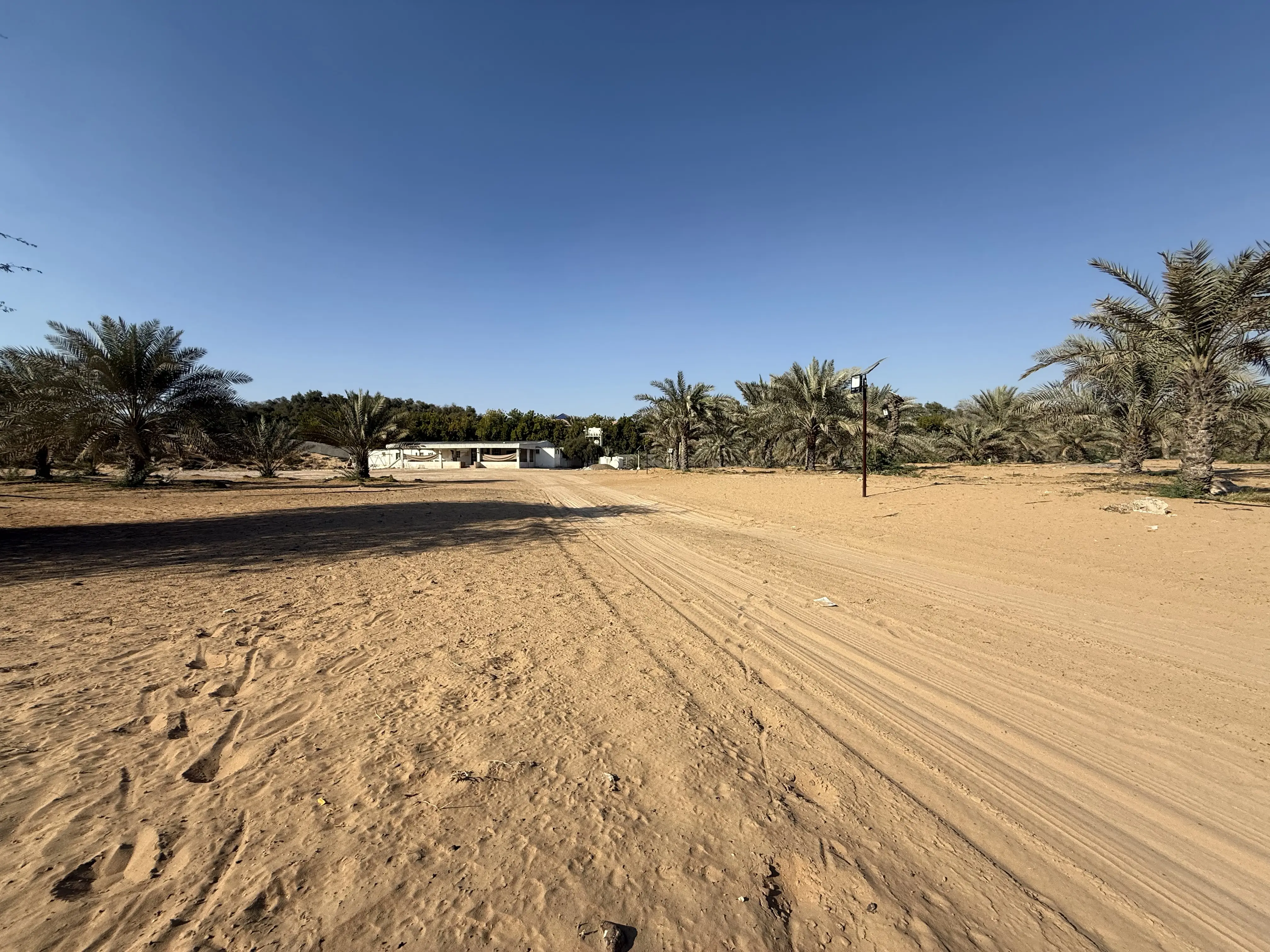 Al Zahya K — image 2