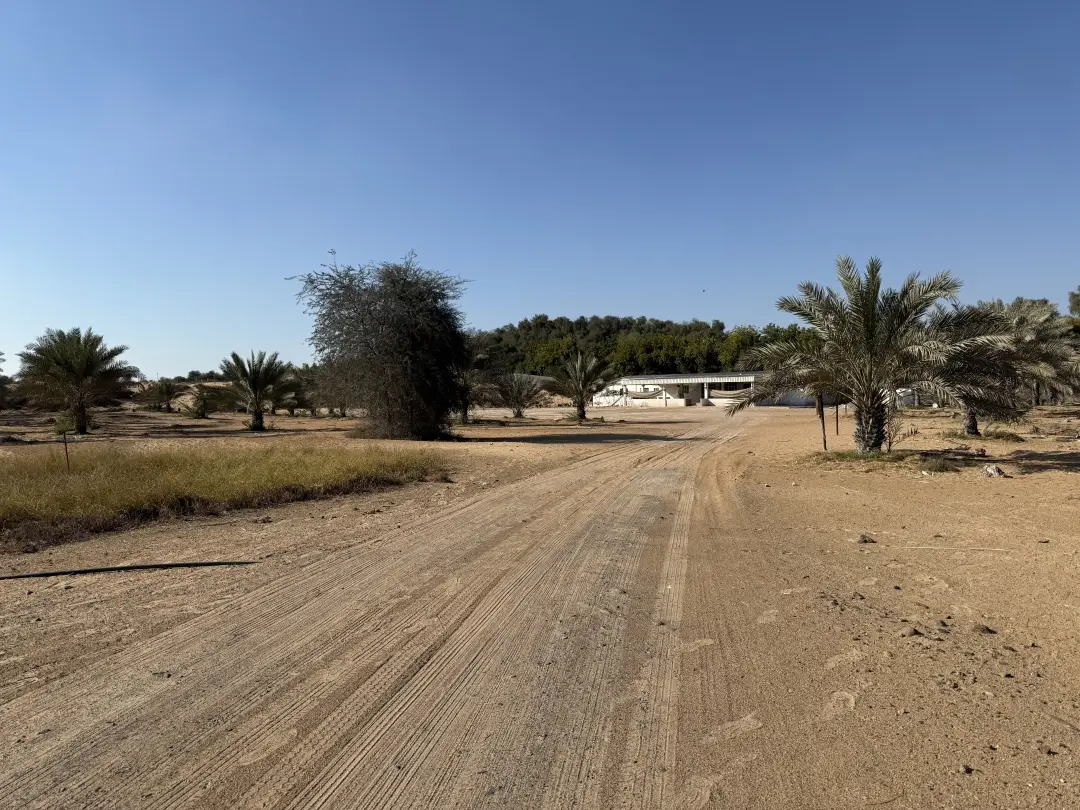 Al Zahya L