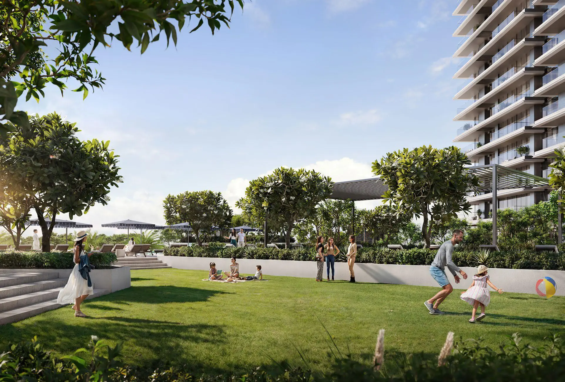 Albero — image 7