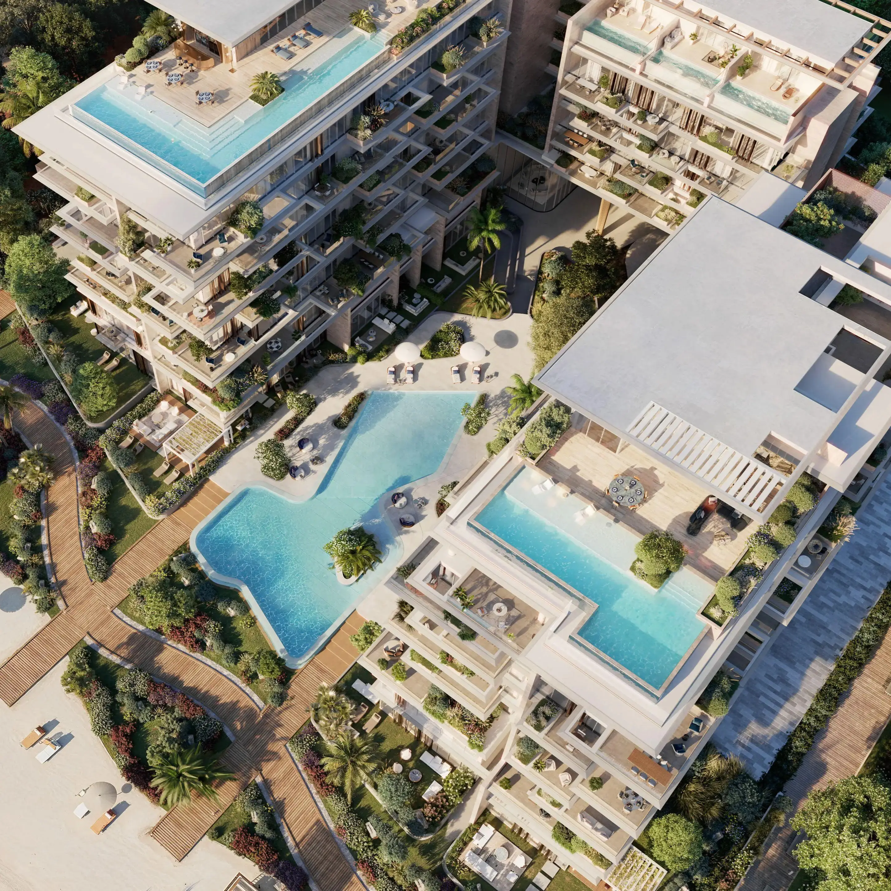 Silena — image 4