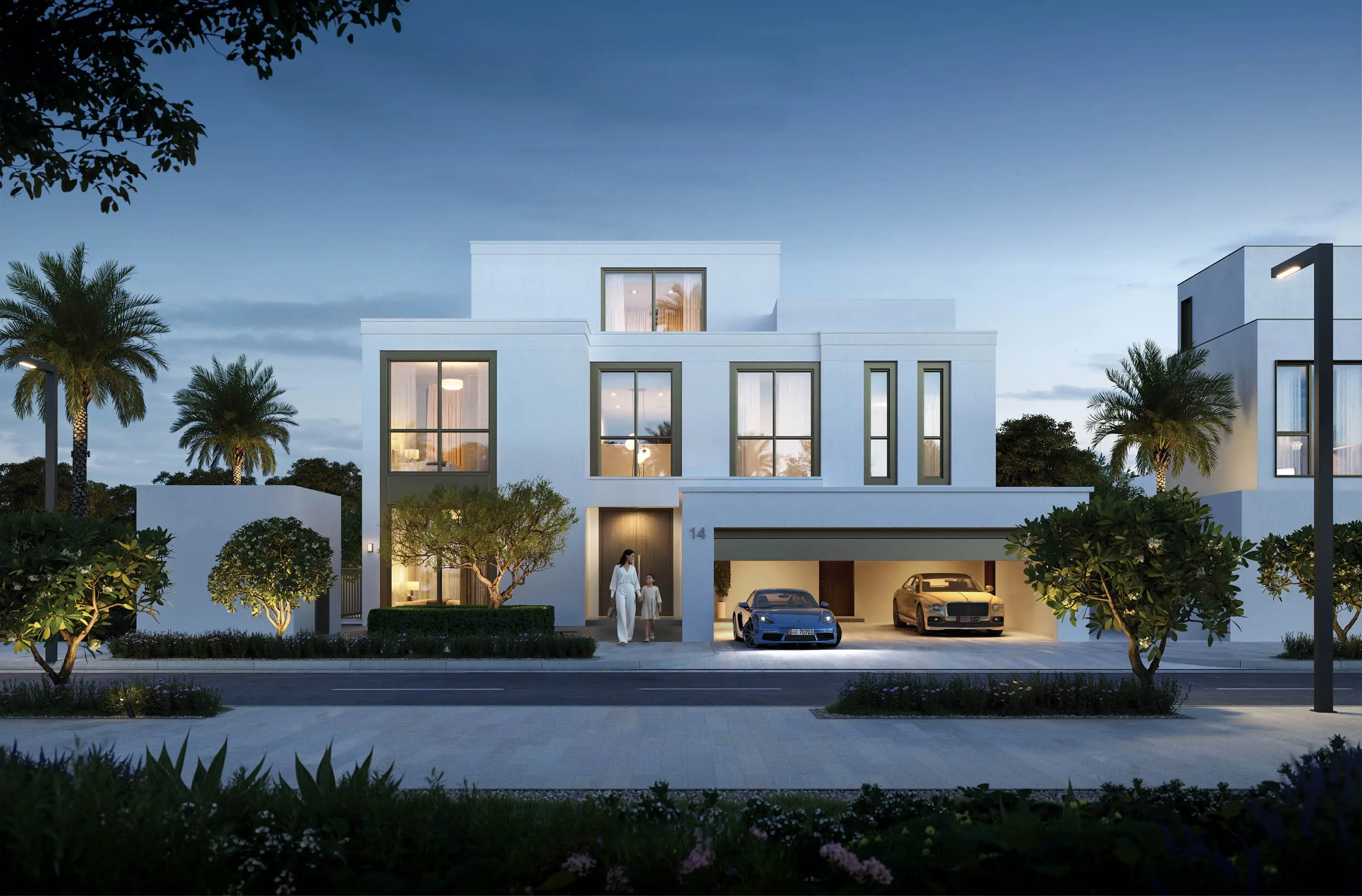 Palmiera Collective — image 5