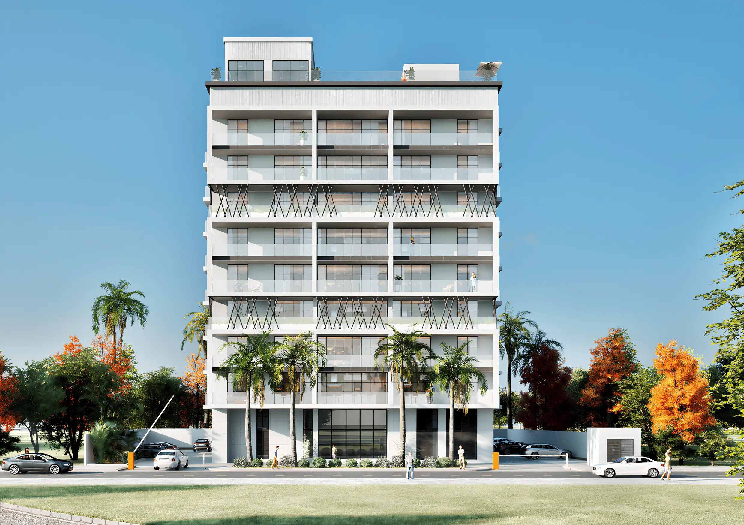 Arib Collection — image 6