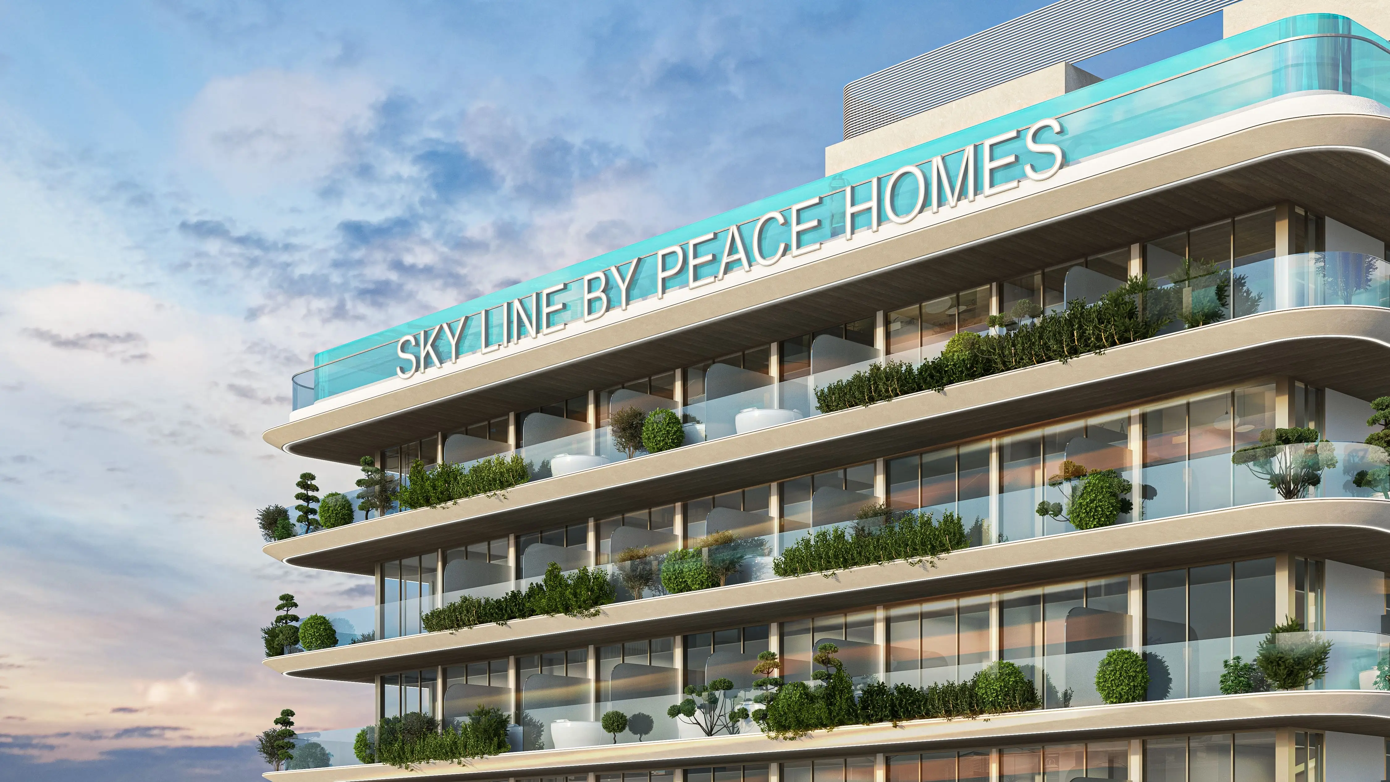 Sky Line — image 3