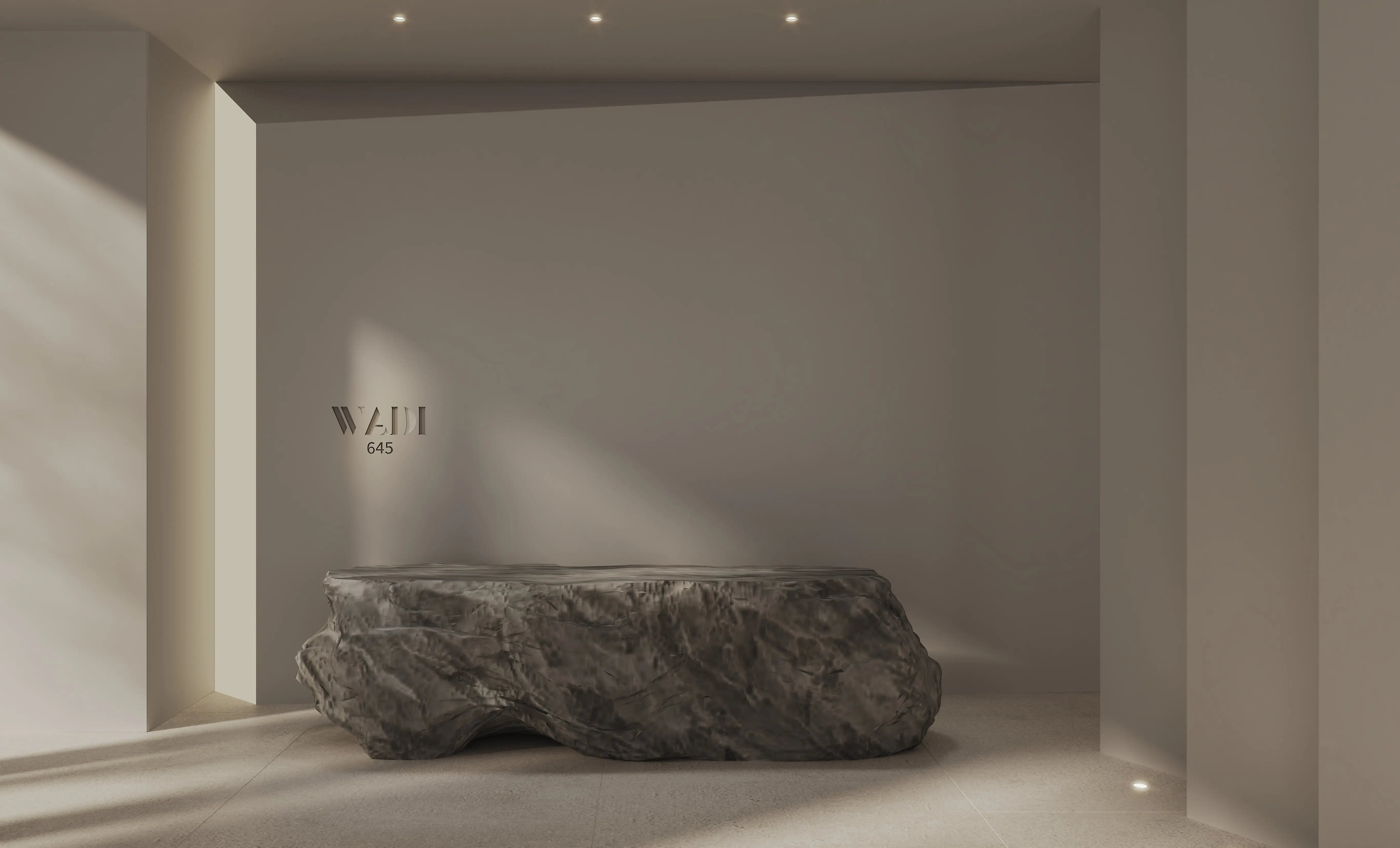 Wadi 645 — image 7
