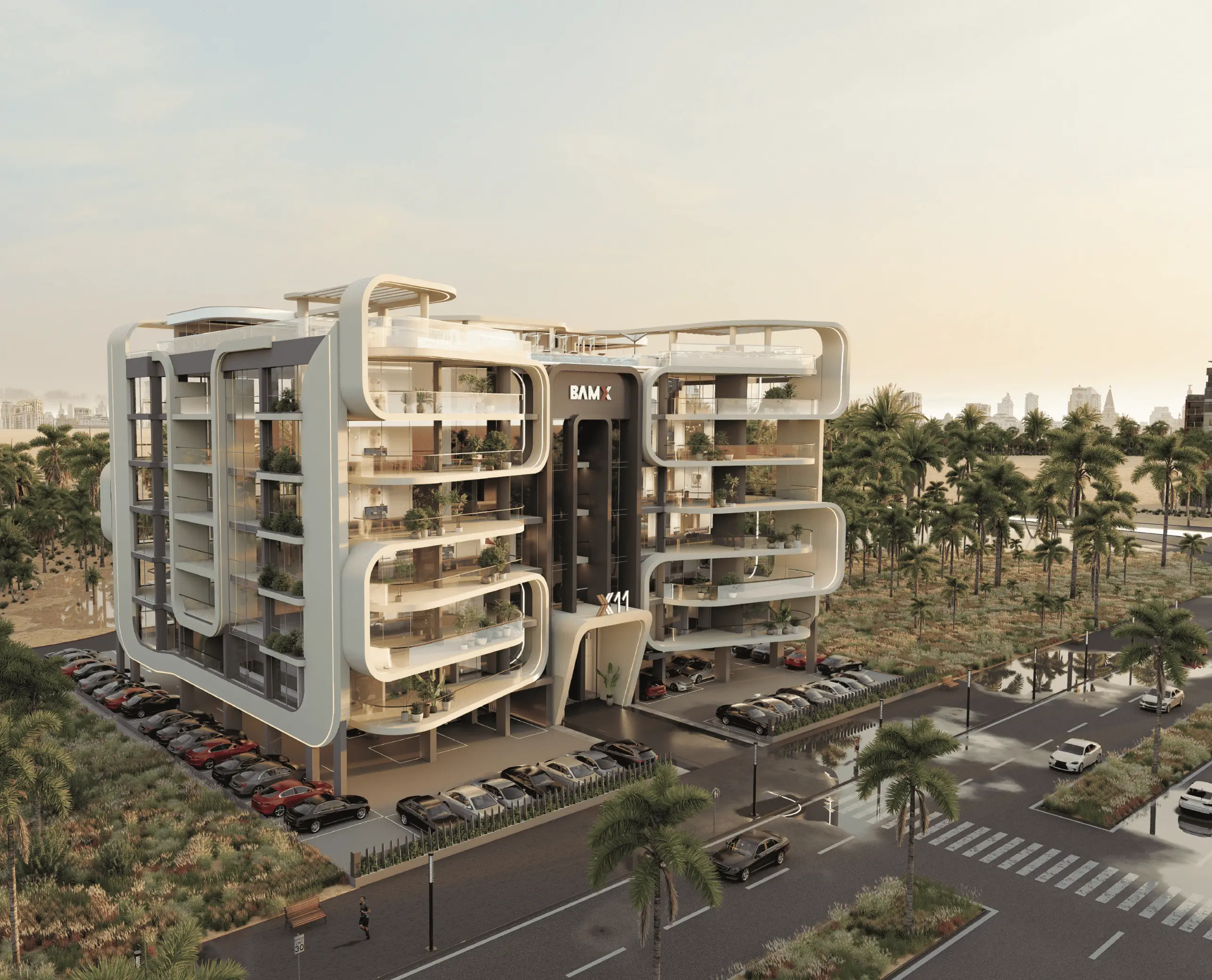 X11 — image 3