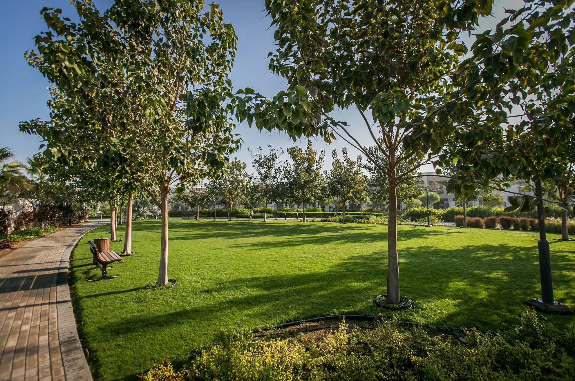 Flamingo Villas 2 — image 7
