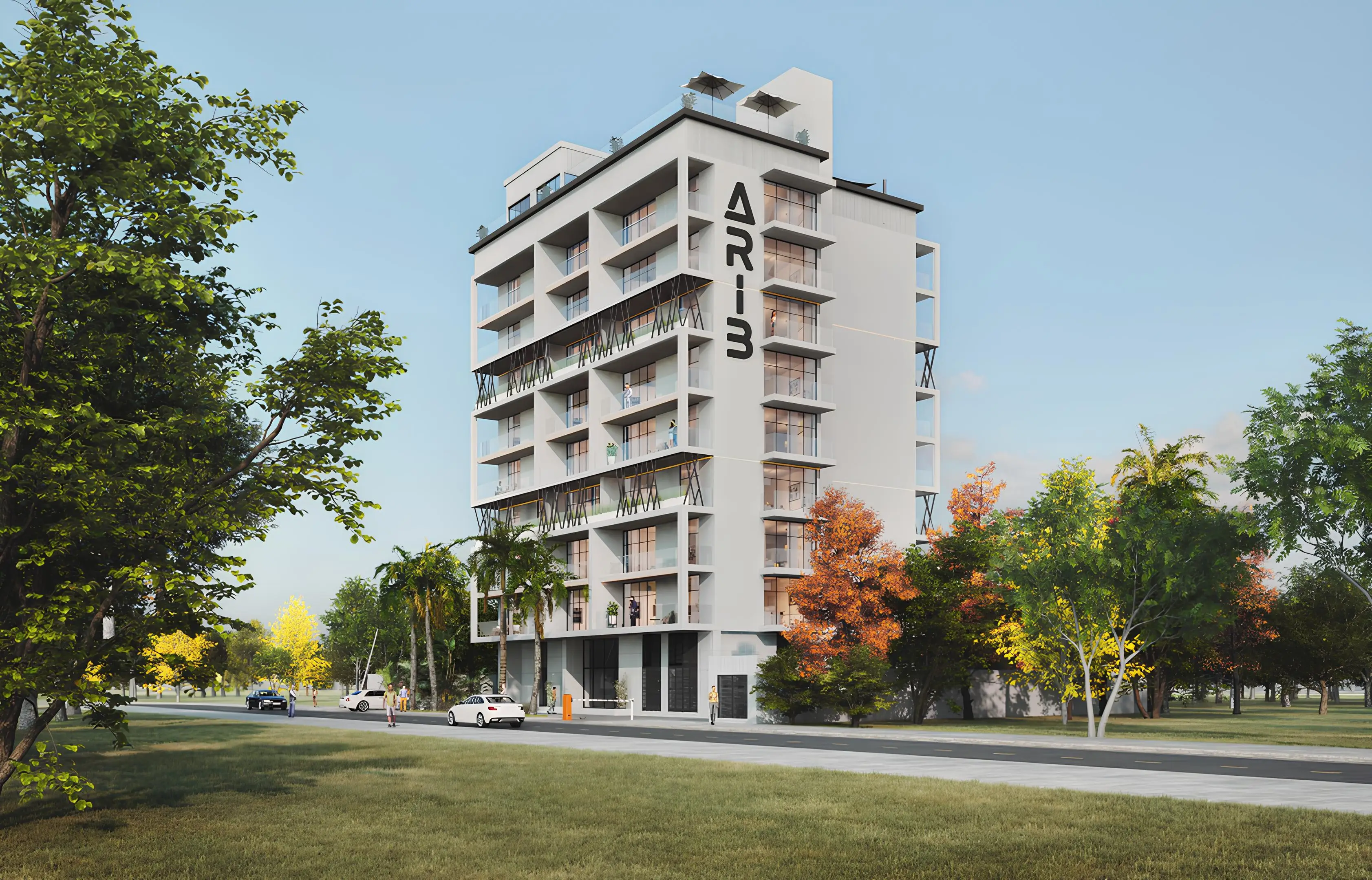 Arib Collection — image 4